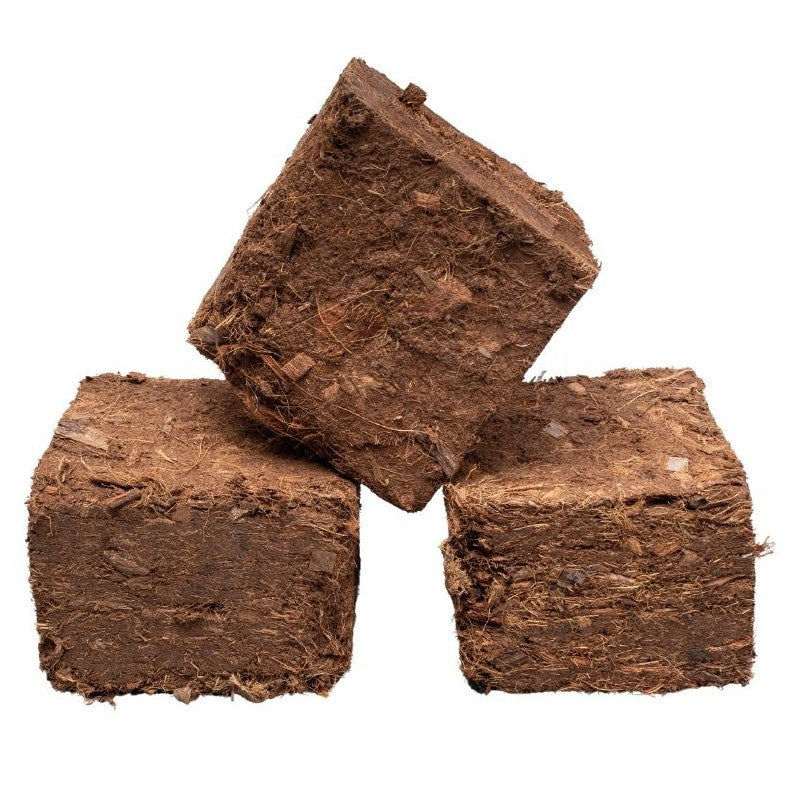 Briquettes de bois compressé Longue durée – Spécial nuit